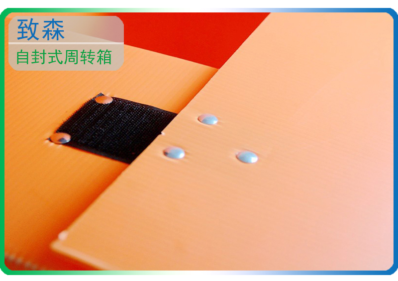 中空板周轉(zhuǎn)箱 中空板包裝箱