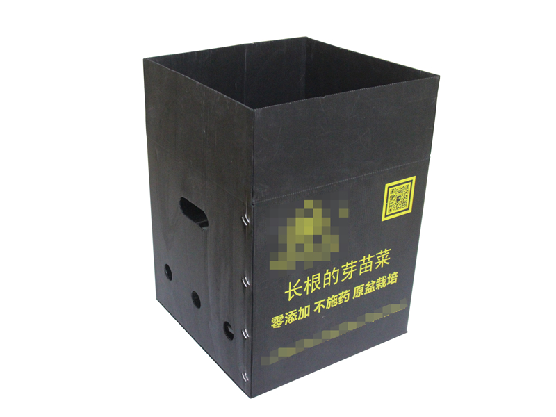 中空板周轉(zhuǎn)箱 